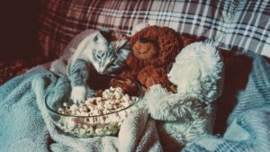 Cat and teddy bears watching a movie