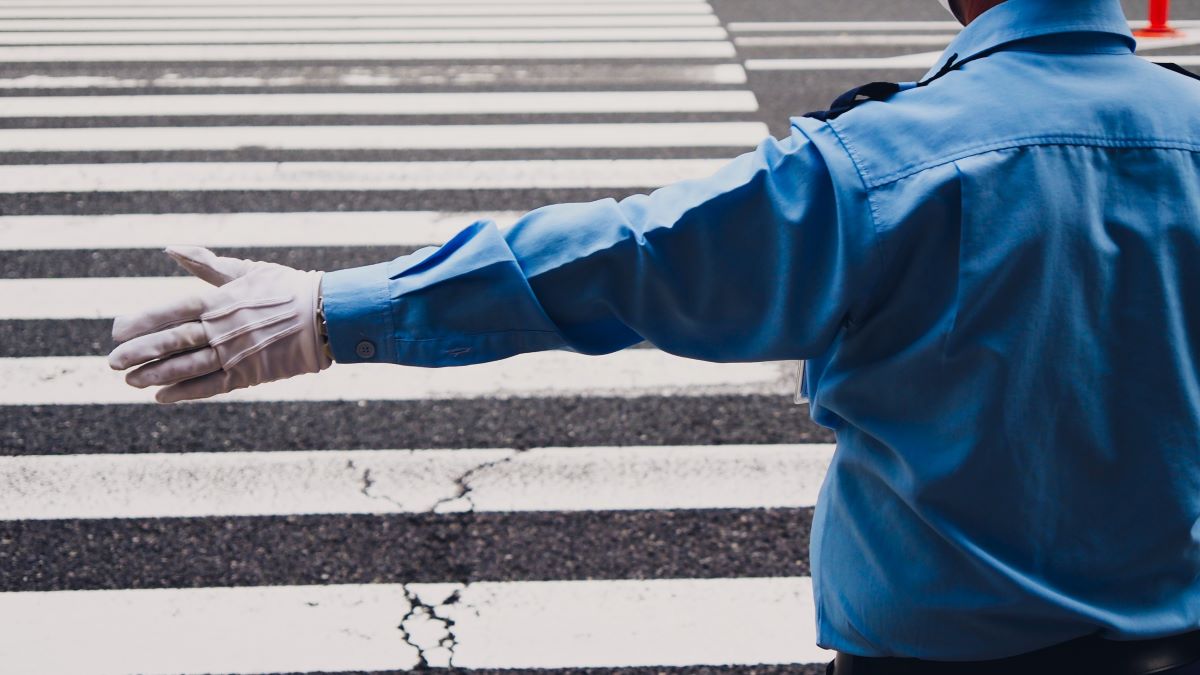 Crossing guard