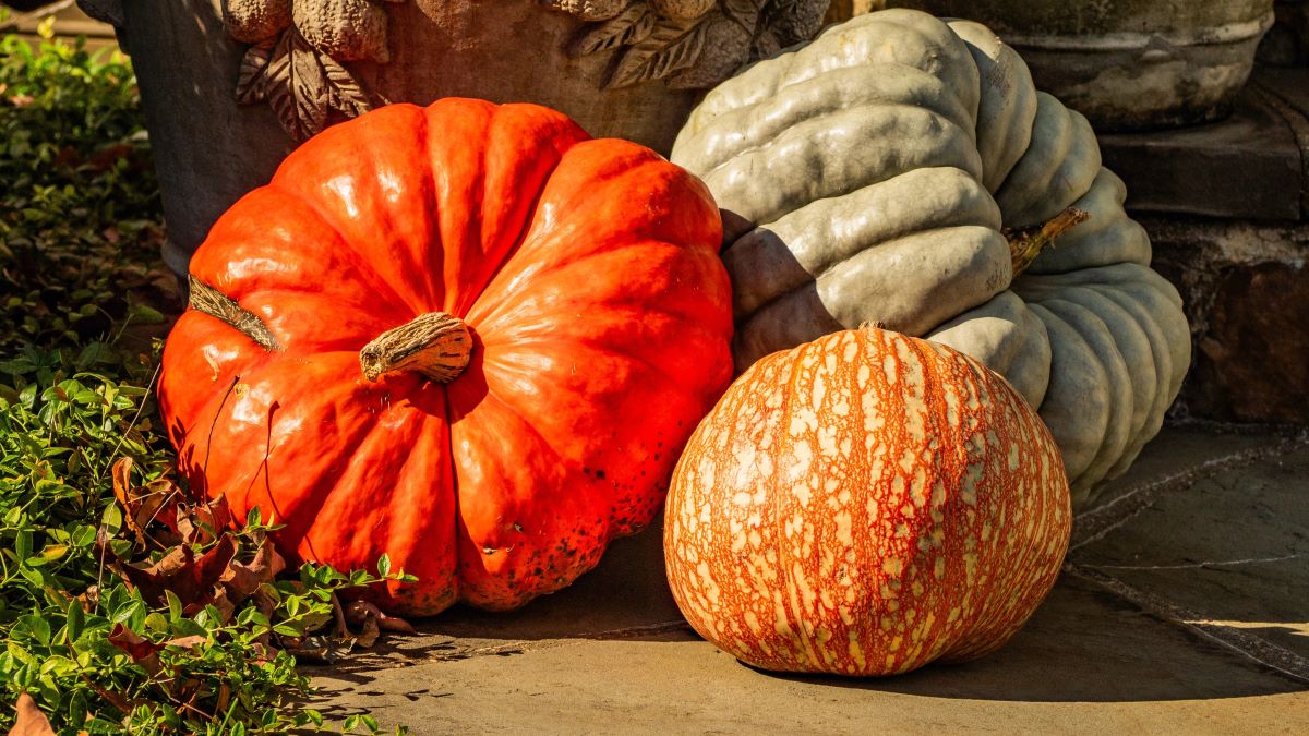 Three gourds